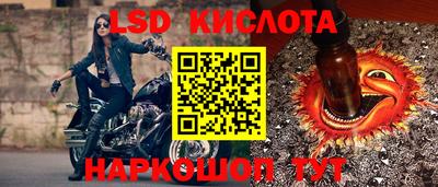 стаф Славгород