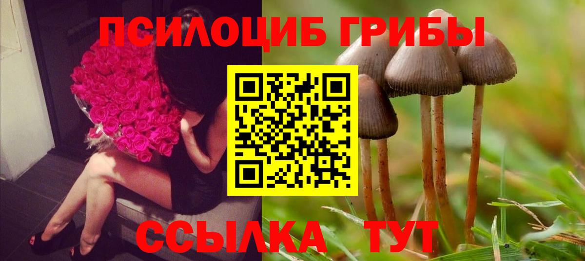 Псилоцибиновые грибы Magic Shrooms Обь